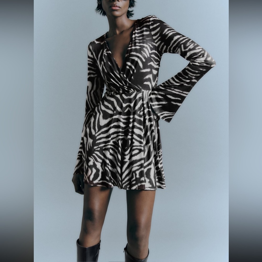 Zara Zebra Print Dress
